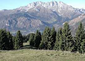 Hotel Prealpi 4