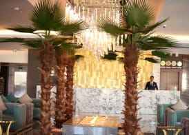 Marina Sharm Hotel 4