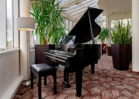 Alona Hotel 5