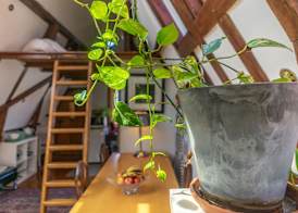 B&B Singel Suites 5