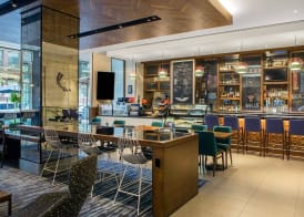 The Chicago Hotel Collection - Magnificent Mile 3