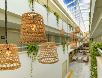 Hotel Cabogata Jardín 1