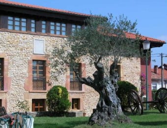 Hotel Palacio De La Viñona 1
