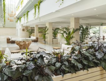 Hotel Cabogata Jardín 4