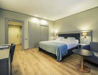 Hotel Carlton Rioja 4