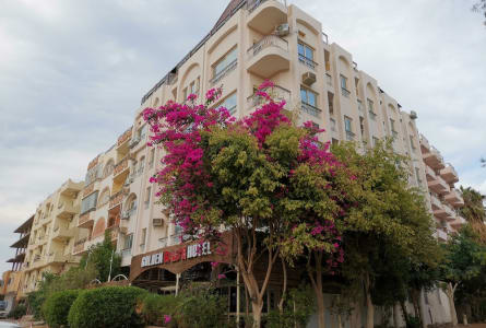 Golden Rose Hotel 1