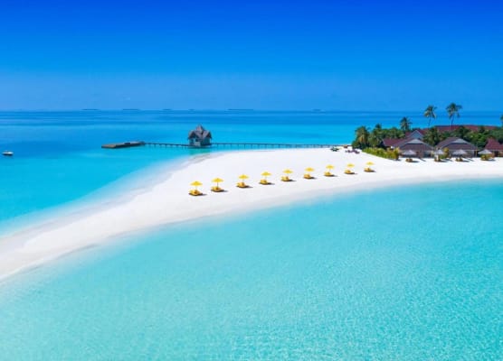 Dhigufaru Island Resort 1