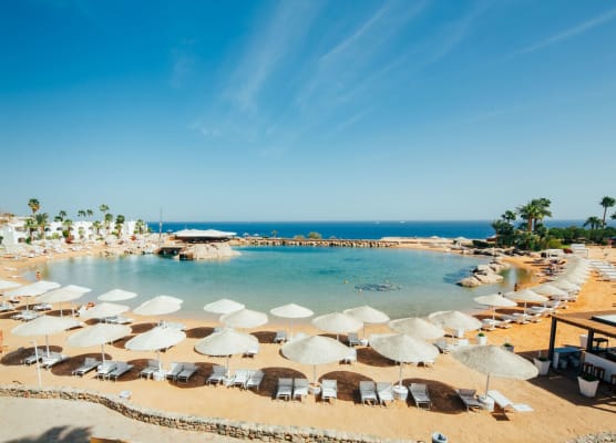 Domina Coral Bay Resort, Diving , Spa & Casino 1