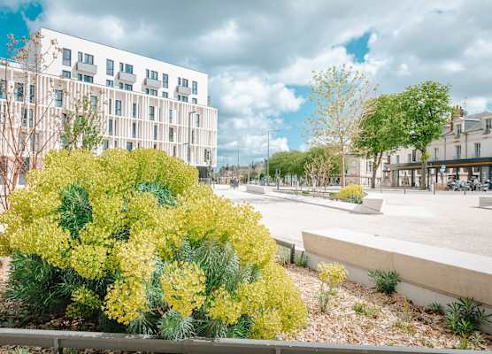 Beelodge Hotel Blois Centre 1