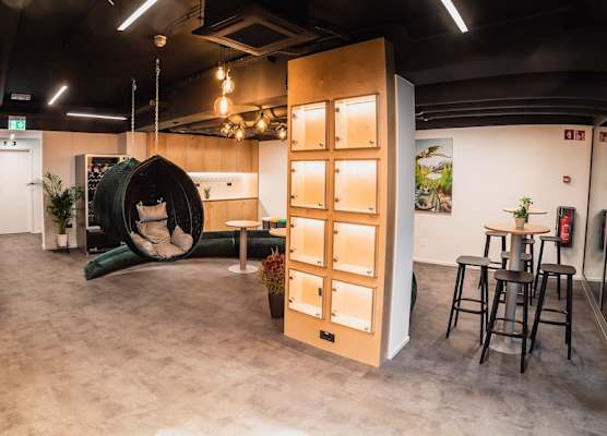 Dragons Dream Hostel 1