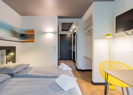 Homaris Kreuzberg 61 1