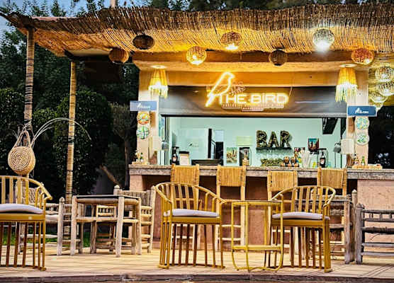 The BIRD 1