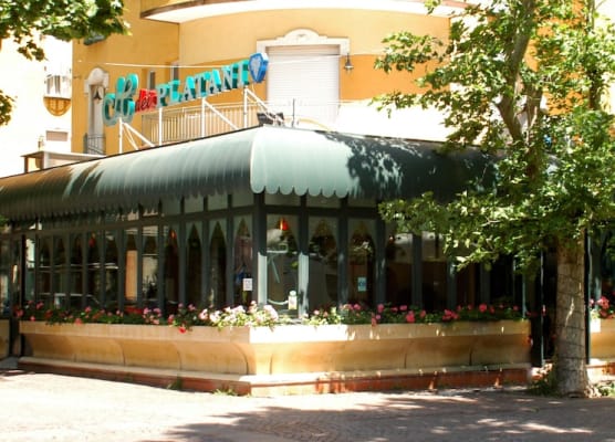 Hotel Dei Platani 1