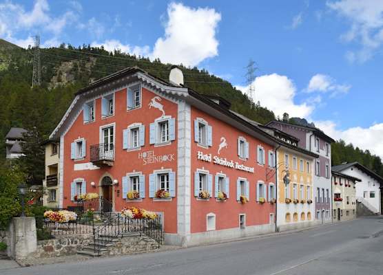Hotel Steinbock Pontresina 1