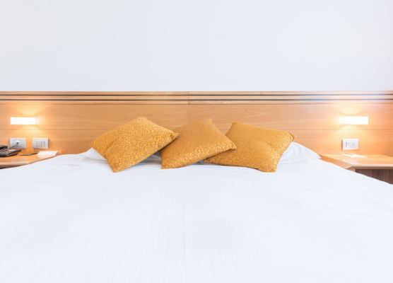 Hotel Europa Belluno 1