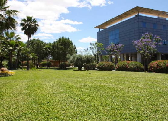 Hotel Amaltea by Executive Sport 1