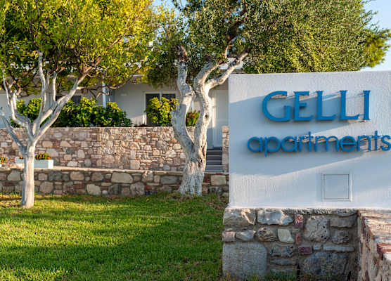 Gelli Apartments 1