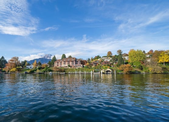 Seehotel Kastanienbaum 1