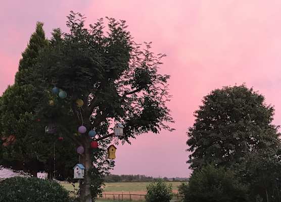 B&B Worpsweder Blick 1