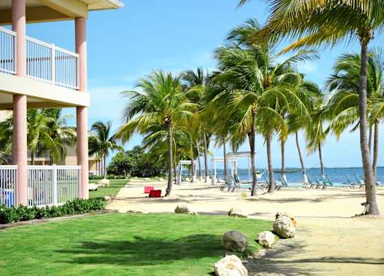 Holiday Inn Resort GRAND CAYMAN by IHG 1