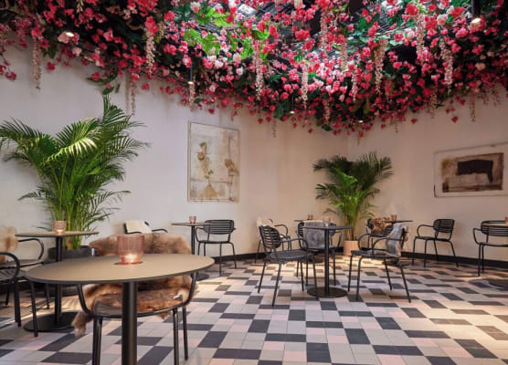 Rosa Hotel 1