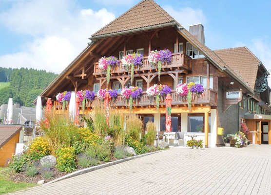 Hotel Hirschen 1