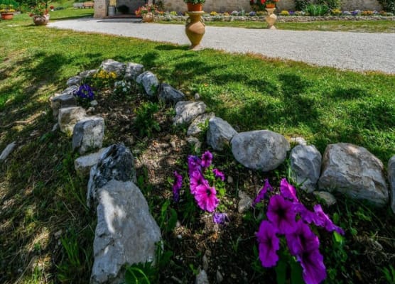 AGRITURISMO LA VALLE DEI BRONZETTI 1