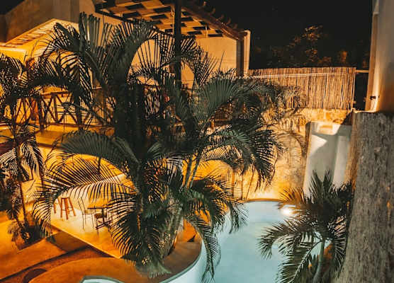 Pacha Tulum Boutique Hotel 1