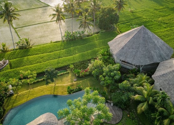 thewakanda Resort A Pramana Experience 1