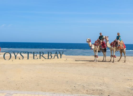 Oyster Bay Beach Suites 1