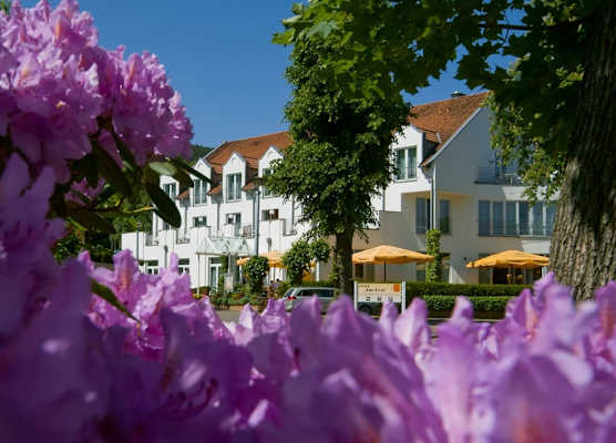 AKZENT Hotel Zur Post 1