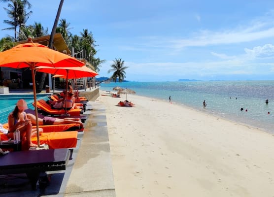 Mimosa Resort & Spa 1