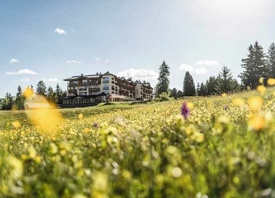 Hotel Steger-Dellai 1