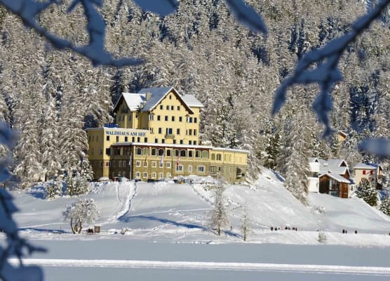 Hotel Waldhaus am See 1