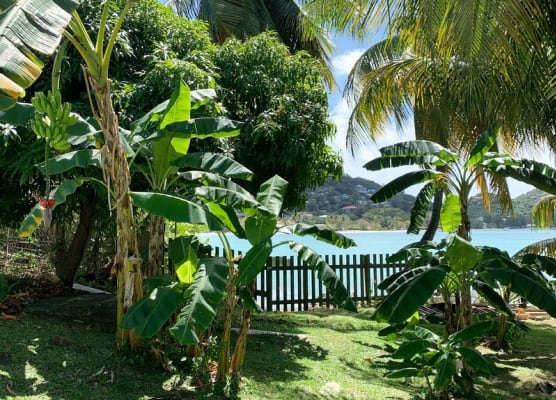 Hideaway Apartments Grenada 1