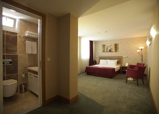 Helikon Business Hotel 1