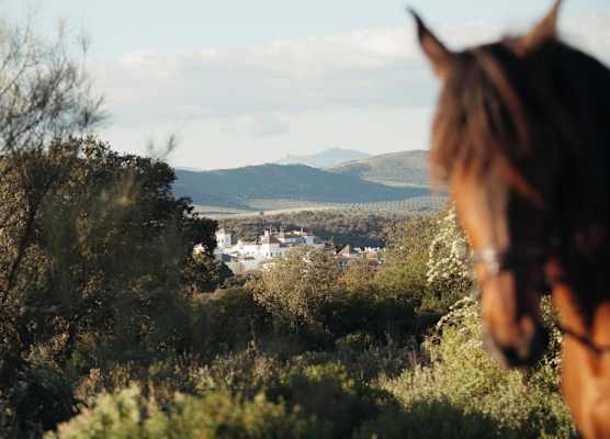 Finca la Bobadilla, Leading Hotels of the World 1