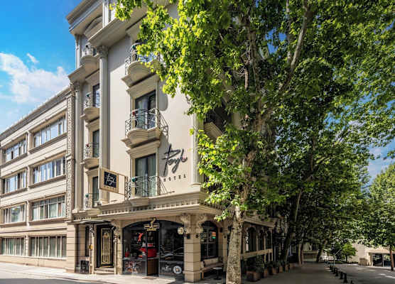 Peyk Hotel Sultanahmet 1