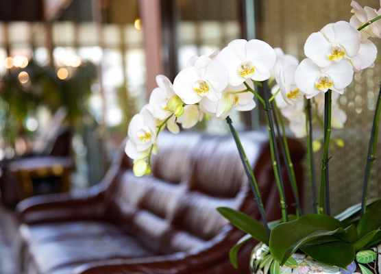 Hotel Garni Geisler 1