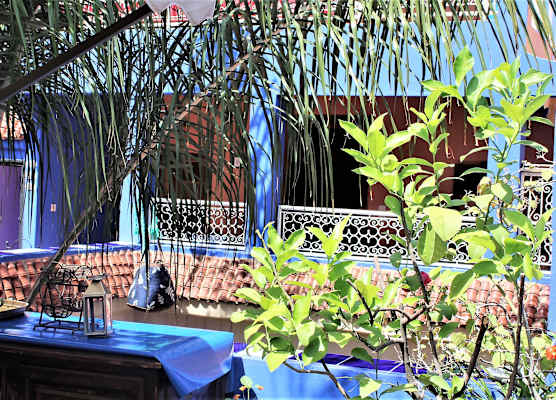 Riad Alamine 1