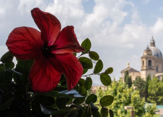 Hotel Mom Assisi 1