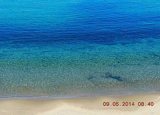 New Hotel Sonia 1