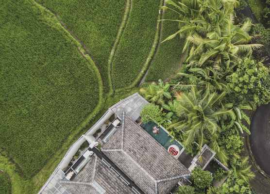 Asvara Villa Ubud by Ini Vie Hospitality 1