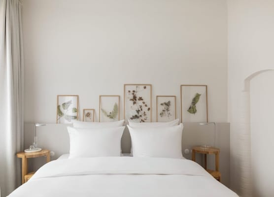 Wilmina Hotel 1