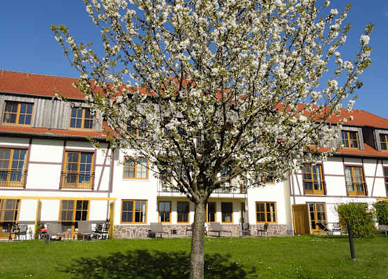 ROBINSON Fleesensee 1
