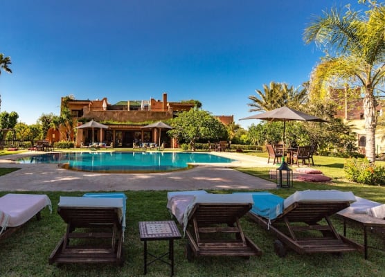 L'OLIVERAIE DE L'ATLAS 1