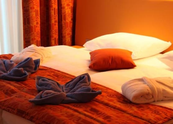 Hotel Thermana Park Laško**** Superior 1