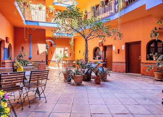 Patio de La Alameda 1