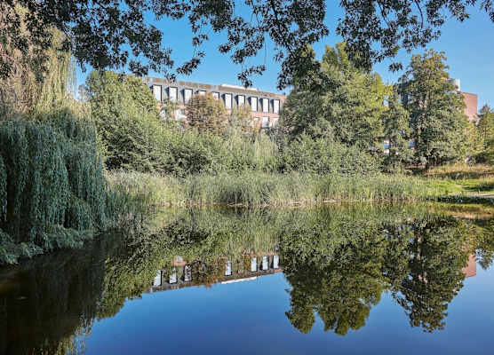 Living Hotel Weißensee 1