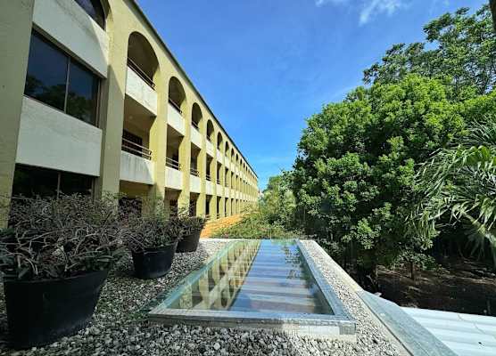 Hotel Casa Colonial Cozumel-Dog Friendly 1